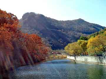 管家婆免费正版资起大全，河北图书批发市场